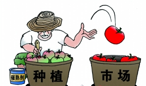 我要把这些水果卖相好看一些,加点激素吧。
